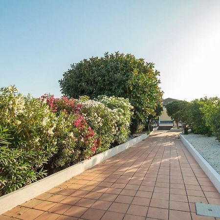 Royal Playa Suite And Apartament -Private Parking- Self Chek Out Катания Экстерьер фото